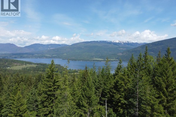 Ridge Road Lot# Lot C, Eagle Bay, BC V0E1T0 Photo 3