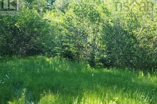 Ridge Road, North Range, NS B0V1A0 Photo 2