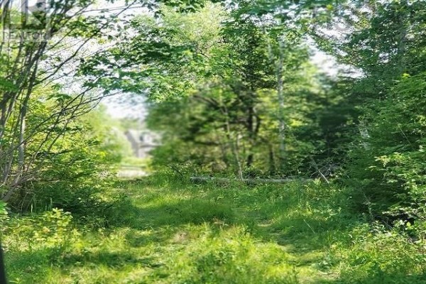 Ridge Road, North Range, NS B0V1A0 Photo 3