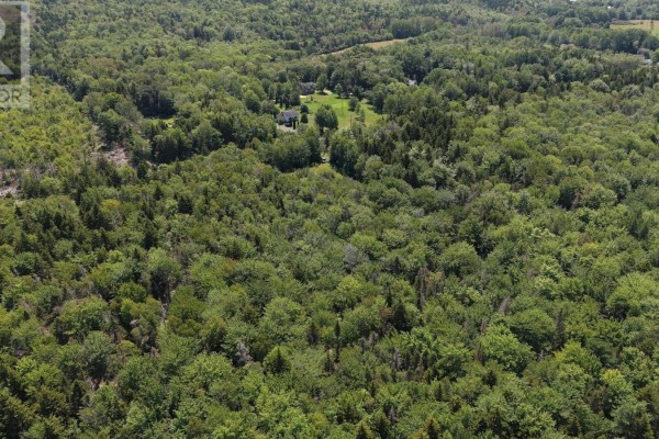 Ridge Road, North Range, NS B0V1A0 Photo 5
