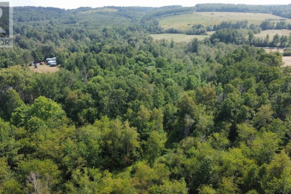 Ripley #4 Road, Williamsdale, NS B0M1E0 Photo 3