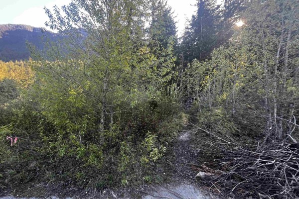 Rll1 Strawberry Lane, Sunshine Valley, Sunshine Valley, BC V0X1L5 Photo 4
