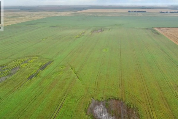 Rm Of Bratts Lake Grainland, Bratt S Lake Rm No  129, SK S0G5E0 Photo 3