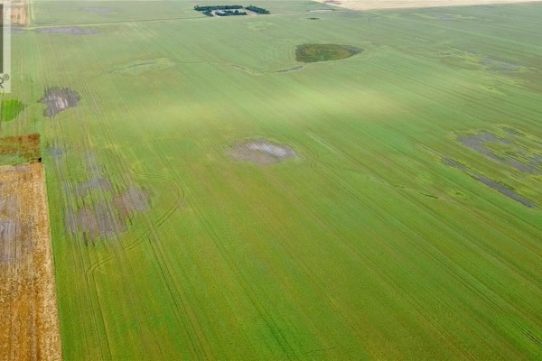 Rm Of Bratts Lake Grainland, Bratt S Lake Rm No  129, SK S0G5E0 Photo 4