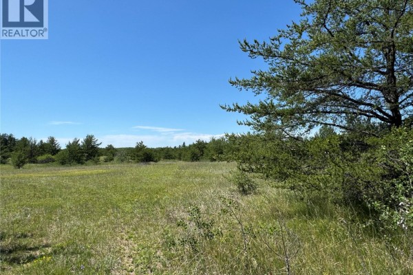 Rm Of Duck Lake Lot, Duck Lake Rm No  463, SK, photo 2