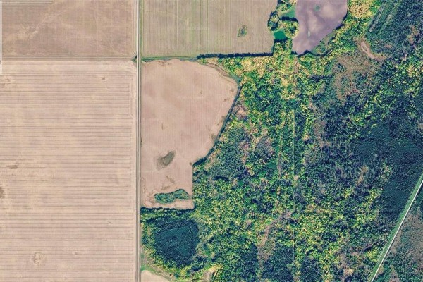Aerial view showing a mix of cultivated farmland and dense forestation. - Rm Of Moose Range Farmland, Moose Range Rm No  486
