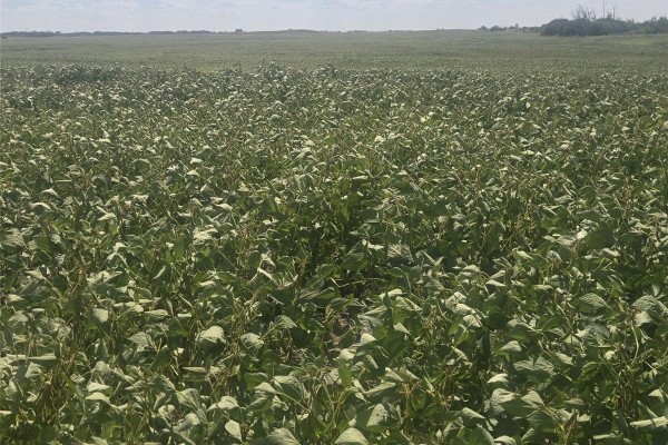 Rm220 - Erhardt Shop & Farmland, Last Mountain Lake, SK, photo 2