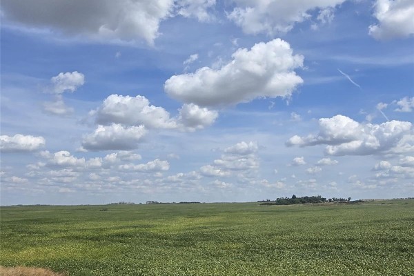 Rm220 - Erhardt Shop & Farmland, Last Mountain Lake, SK, photo 3