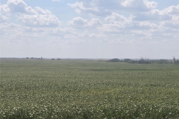 Rm220 - Erhardt Shop & Farmland, Last Mountain Lake, SK S0G0L0 Photo 4