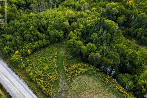 Road 0 Beechmont Road, Gillis Lake, NS B2A4J6 Photo 3