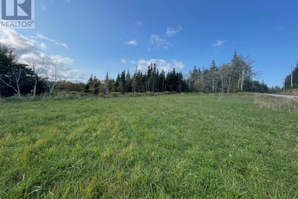 Road 0 Beechmont Road, Gillis Lake, NS B2A4J6 Photo 4