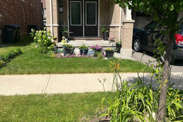 Room 1 - 23 Francesco Street, Brampton