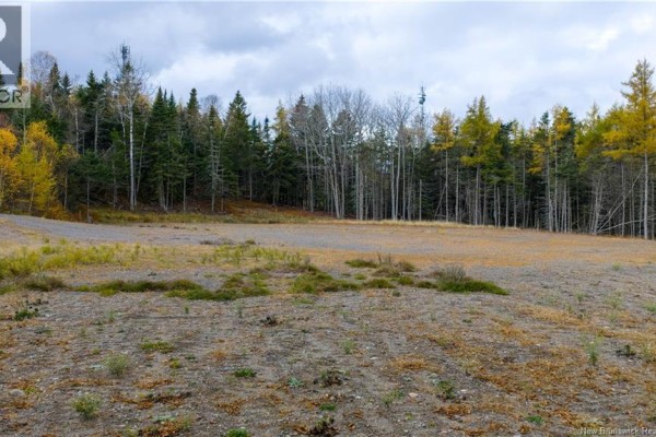 Route 172, St George, NB, photo 3