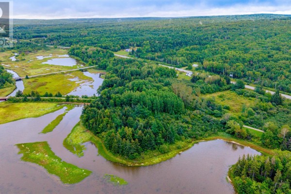 Aerial view of wooded land and water, with fields and a road visible in the distance. - Route 19, Judique North