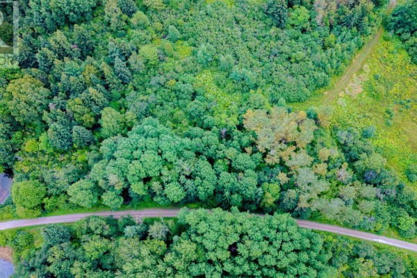 Aerial view looking down on a gravel road cutting through dense green forest foliage. - Route 19, Judique North