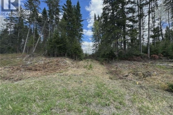 Route 205, Saint Francois De Madawaska, NB E7A1R8 Photo 3