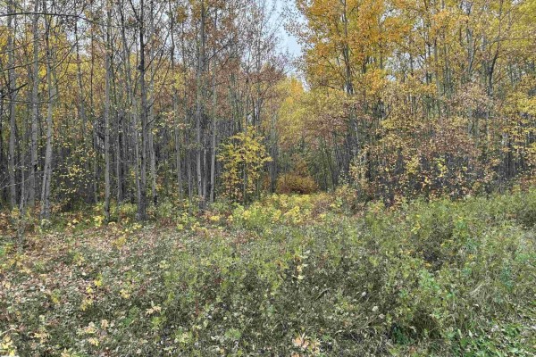 Rr 23 Twp 564, Rural Lac Ste  Anne County, AB T0E1V0 Photo 2