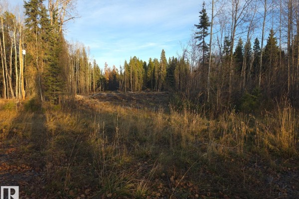 Rr 85 Township Rd 482, Rural Brazeau County, AB T7A2A3 Photo 4