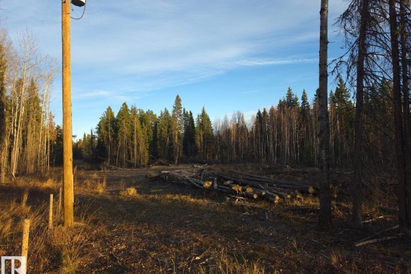 Rr 85 Township Rd 482, Rural Brazeau County, AB T7A2A3 Photo 5
