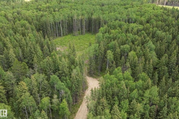 Rr171 North Of Hwy 748, Rural Yellowhead, AB T7E3L1 Photo 5