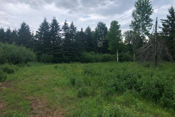 Rue Labelle, Egan Sud, QC J9E3A9 Photo 3