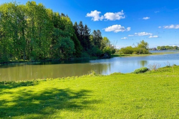 Close-up view of a serene waterway bordered by lush green grass and mature trees. - Rue Notre-dame, Montebello