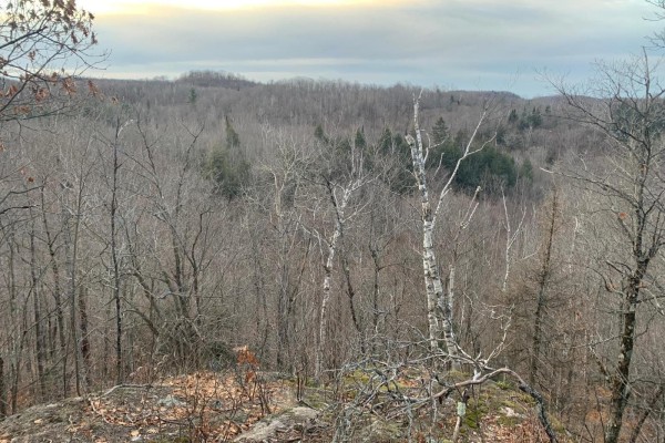 Rue Pine Tree, Grenville Sur La Rouge, QC J0V1B0 Photo 5