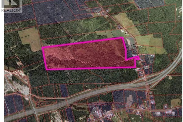 Aerial view with property highlighted in pink overlayed on a cadastral map showing surrounding parcels. - Saint David Ridge Road, Oak Bay
