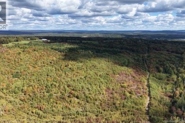 Panoramic aerial view of rolling forested hills with a partially cleared area and distant tree line. - Saint David Ridge Road, Oak Bay