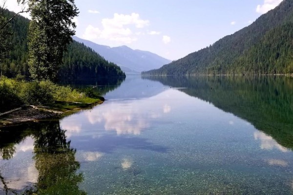Sawczuk Road Lot# 19, Trout Lake, BC V0G1R2 Photo 2