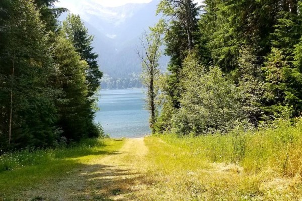 Sawczuk Road Lot# 19, Trout Lake, BC V0G1R2 Photo 3