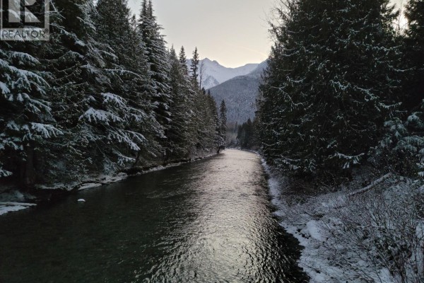 Sawczuk Road Lot# 19, Trout Lake, BC V0G1R2 Photo 4