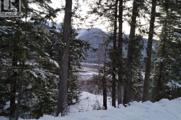 Sawczuk Road Lot# 19, Trout Lake, BC V0G1R2 Photo 5