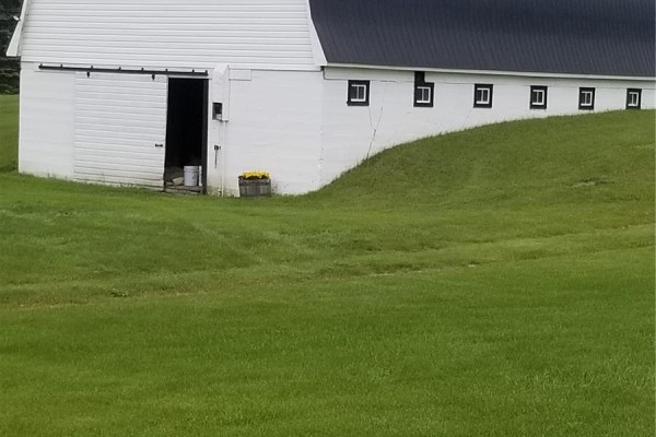 Schindel Farm, Stanley Rm No  215, SK S0A2P0 Photo 4