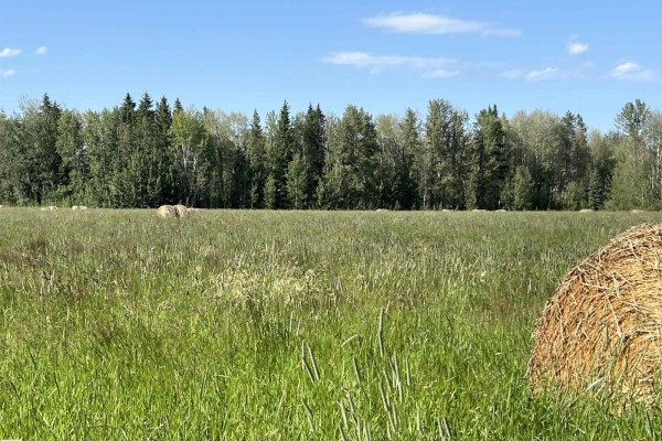 Se-12-49-8- W5m (lot 2), Rural Brazeau County, AB T0E1Z0 Photo 4