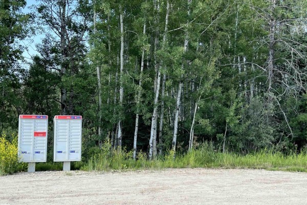 Se-12-49-8- W5m (lot 2), Rural Brazeau County, AB T0E1Z0 Photo 5