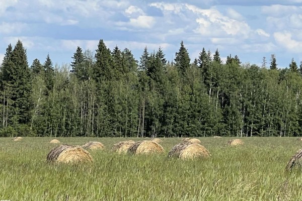 Se-12-49-8- W5m, Rural Brazeau County, AB T0E1Z0 Photo 5