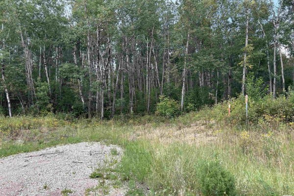 Se 26 62 1 W4 Rge Rd 411a, Rural Bonnyville M D , AB, photo 3