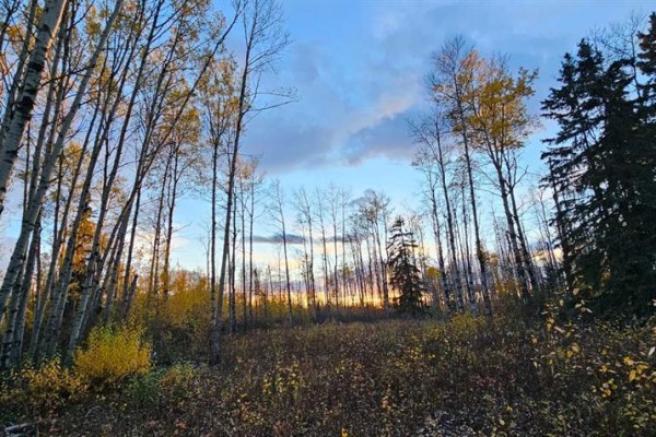 Se-27-79-9-w6 92 Range Road, Rural Saddle Hills County, AB T0H0G0 Photo 2