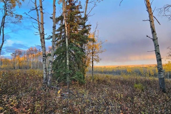 Se-27-79-9-w6 92 Range Road, Rural Saddle Hills County, AB T0H0G0 Photo 3