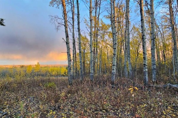 Se-27-79-9-w6 92 Range Road, Rural Saddle Hills County, AB T0H0G0 Photo 4