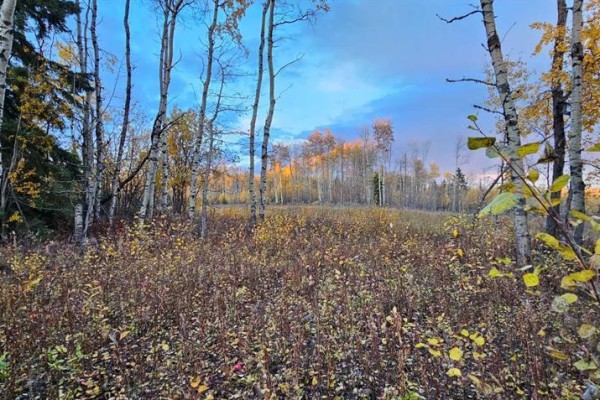 Se-27-79-9-w6 92 Range Road, Rural Saddle Hills County, AB T0H0G0 Photo 5