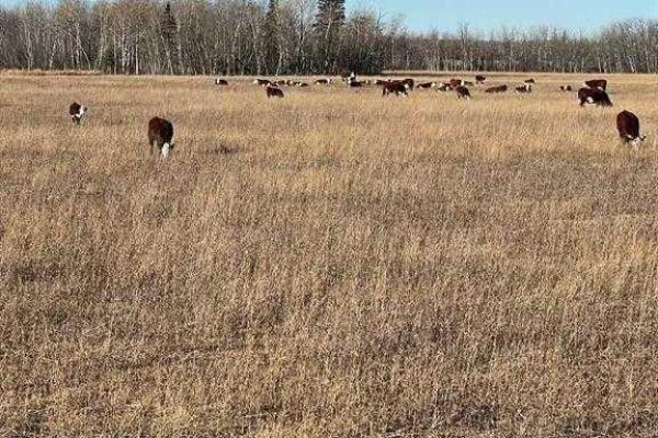 Se-32-71-5-w6 ., Grande Prairie, AB, photo 3