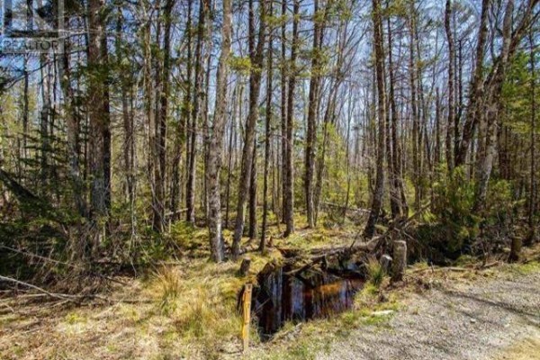Lot 50n Secret Road, Briar Lake, NS B0W2Y0 Photo 4