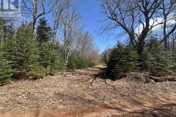Settlement Road, Lyndale, PE C0A1A0 Photo 5