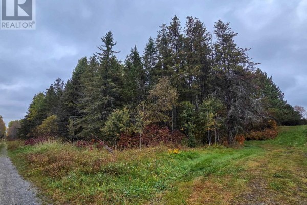 Gravel road leading past a grassy field and mixed forest with trees displaying autumn colors. - Shalf Lt 6 Con 2 Day Mar Road, Englehart