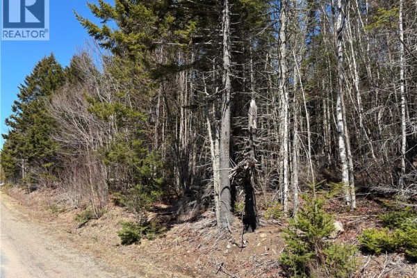 Shore Road, Breadalbane, NB E5C1P2 Photo 3