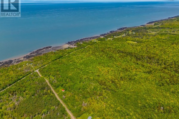 Shore Road, Youngs Cove, NS B0S1L0 Photo 2