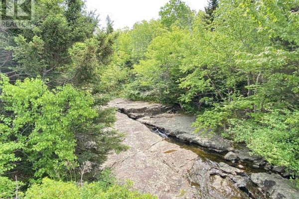 Shore Road, Youngs Cove, NS B0S1L0 Photo 4