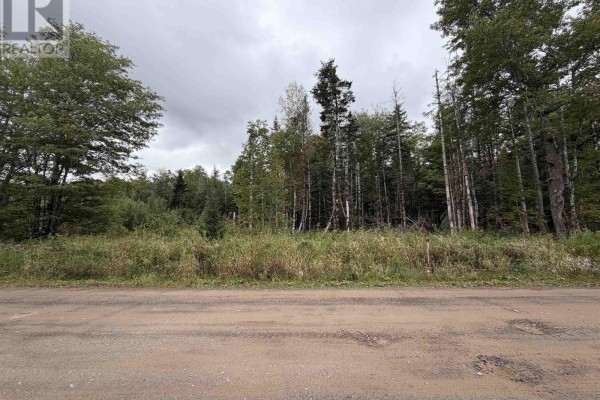Gravel road curves through dense green forest with tall evergreen trees and power lines. - Sibley Road, Glenmore